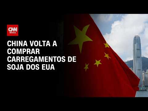 China volta a comprar carregamentos de soja dos EUA, dizem operadores | CNN AGRO NEWS