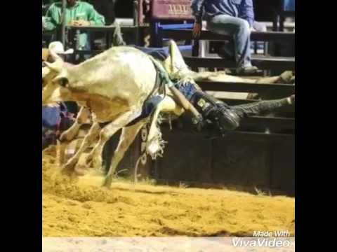 Anthony Lyons bull rider