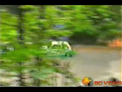 Rally dei Laghi 1994 + CRASH