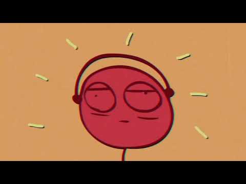 In the beginner's mind there are many possibilities, but in the expert's mind there are few.