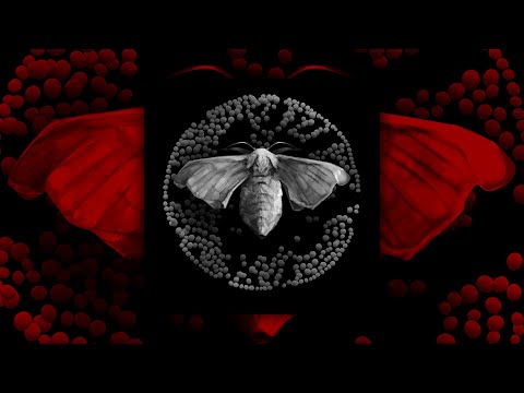 Video thumbnail for Грена (Grena)