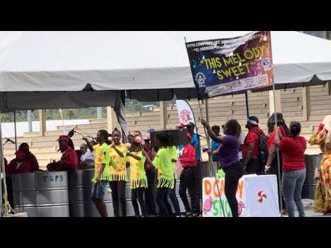 Junior Panorama 2024 - Fifth Company St Anglican plays “This melody sweet”