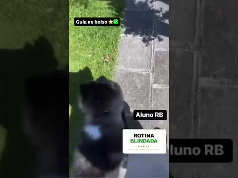 Depoimento aluno Rotina Blindada