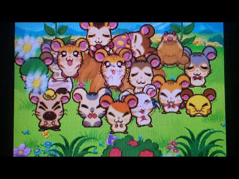 とっとこハム太郎はーい！ハムちゃんずのハムハムチャレンジ！あつまれはーい！op