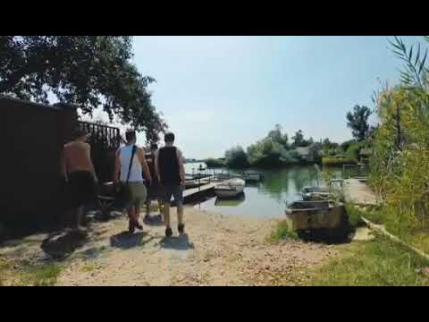 Sör és Fű, Dsp - Éljük (erdeti)