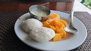 Kerala Trip - Tea Hills Resort in Munnar | Hotels in Munnar