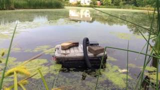 How to remove algae from a pond easily and without chemicals