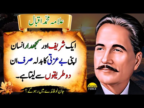 2 Most Powerful Ways to Respond When Someone Insults You | Allama Iqbal Quotes | Deep Quotes