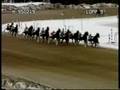 Rebel Yell Racehorse 1995
