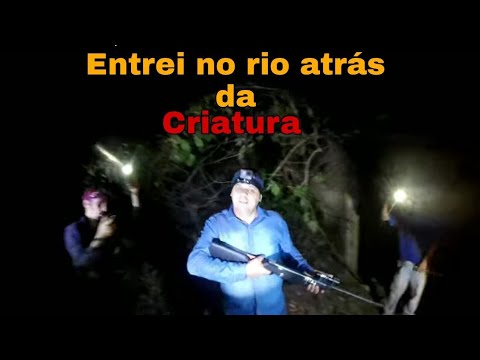 👹URGENTE👹 ENTREI  NO RIO A NOITE  ATRÁS DA CRIATURA  #RenatoGarcia #Roselei Peçanha