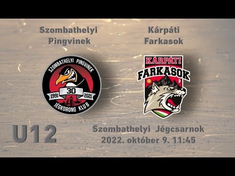 U12 148  Szombathelyi Pingvinek -  Kárpáti Farkasok (élő közvetítés)