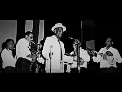 ROARING LION  "NETTY NETTY"