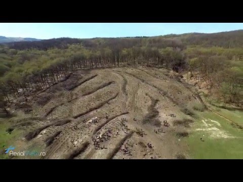 Filmare aeriana cu drona - Impadurire Cluj