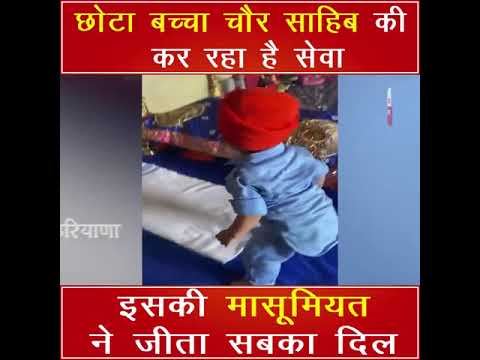 कैसे ये मासूम चौर साहिब की कर रहा है सेवा, इस छोटे से बच्चे ने जीत लिया सभी का दिल, देखिए वीडियो