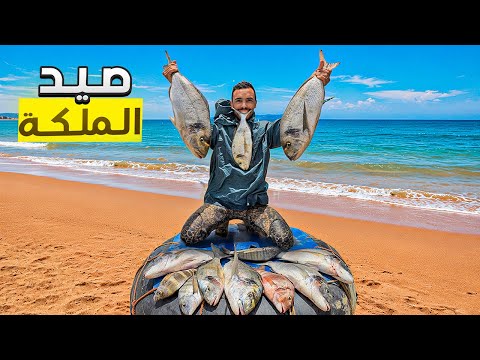 العيش الحر: تحدي صيد ملكة الأسماك بالعجلة المطاطية في الصحراء المغربية 