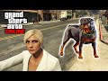 GTA 5 Online - Chop Guard Dog Online Mod ...