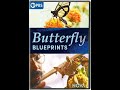 Opening To Nova Butterfly Blueprints 2022 DVD