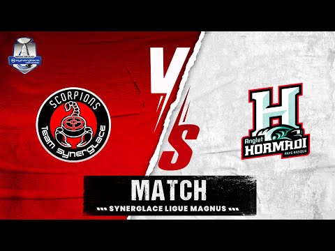 Scorpions 8-2 Hormadi | Des Scorpions impitoyables