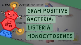 Gram Positive Bacteria: Listeria monocytogenes