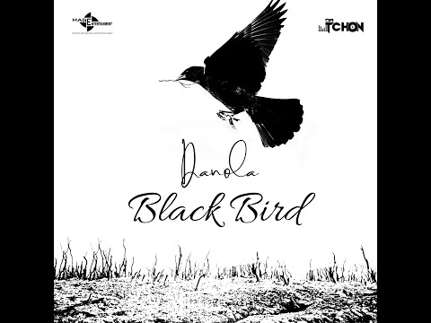 DANOLA- BLACK BIRD (LYRICS)