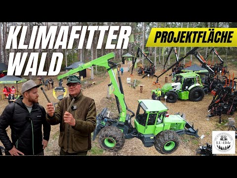 Forest of the future: Practical solutions | Project area "Climate-resilient forest" | LU-Eble