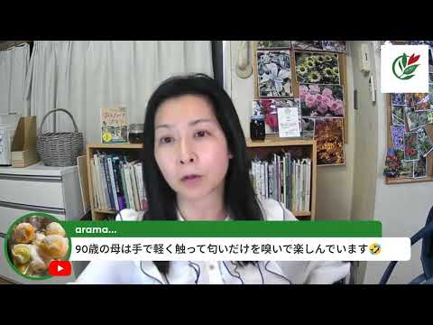 医療ビジネス薬科学科 フレッシュネトル禁止事項を解説🌿