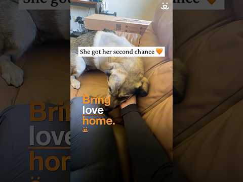 Youtube Video Embed