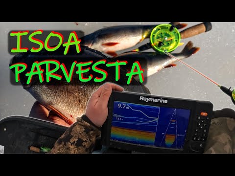 KOOSTE 2 - PÖLLLI KOON AHVENTA AJOPARVESTA JA MUITA SYKKEEN NOSTATTAVIA TAPAHTUMIA JÄILTÄ