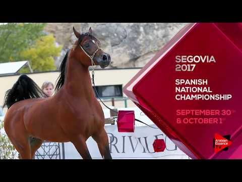 Promo Segovia 2017
