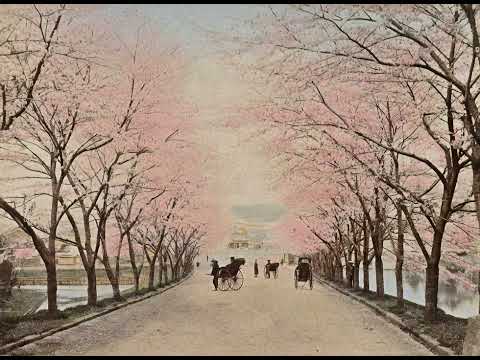 [FREE FOR PROFIT] Blink 182 + Sum 41 + Pop Punk type beat type beat "Random Thoughts"