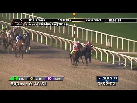 210725 c08 ALMA DE MAESTRA