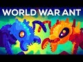 The World War of the Ants – The Army Ant