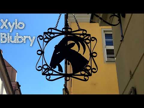 08. Xylo - Blubry (prod. Xylo, cuty/skrecze DJ BDZ)