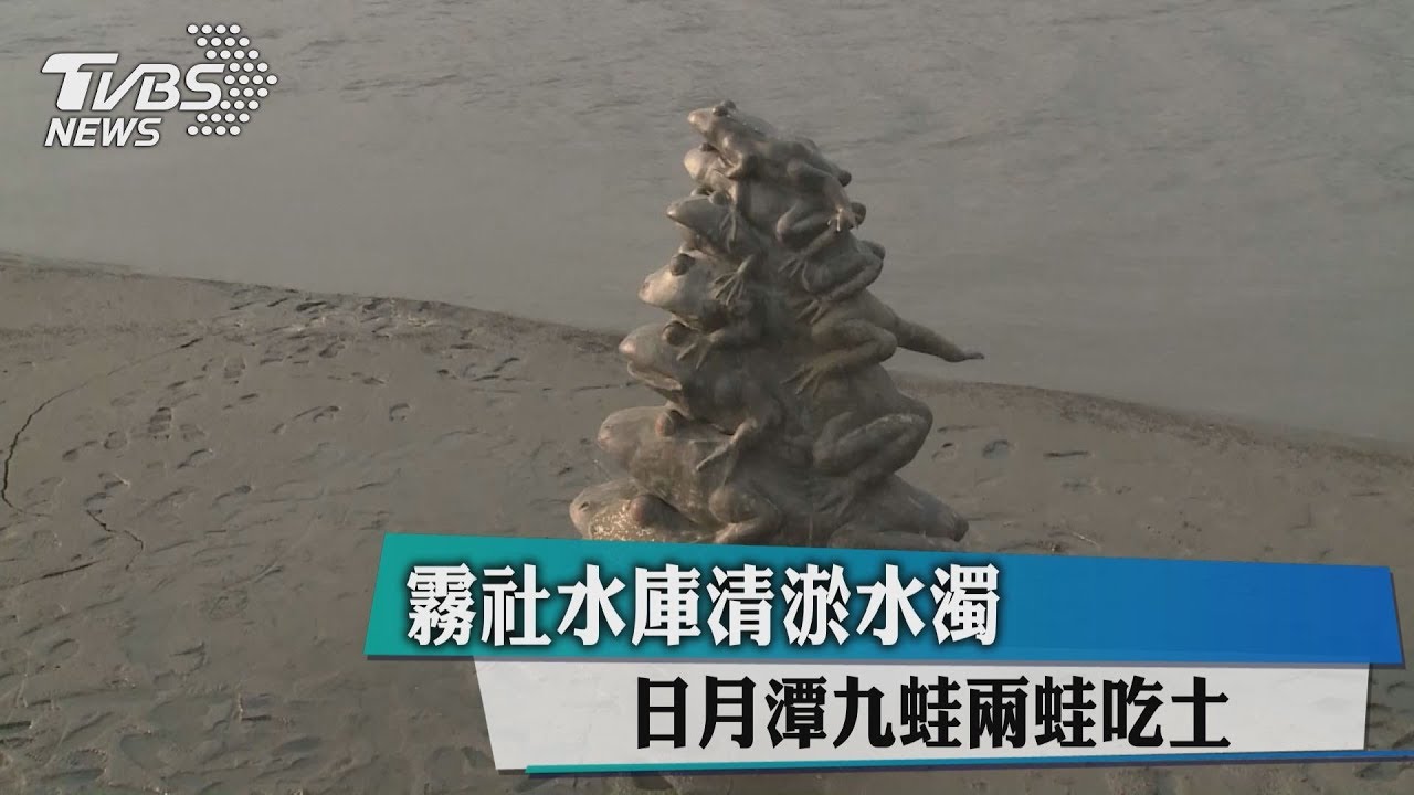 霧社水庫清淤水濁　日月潭九蛙兩蛙吃土