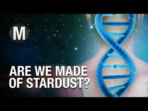 Biophotonics - Your DNA Actually Stores Light | Episode 2 - MATTTER 4K