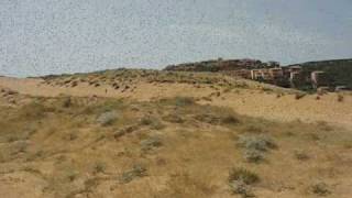 preview picture of video 'La Costa Verde -- Le dune di Torre dei Corsari'