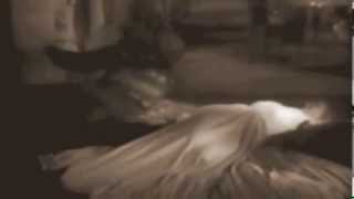 Set It On Fire - The Scientists