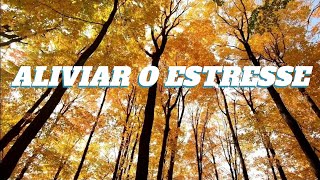 Musica Relaxante para Aliviar o Estresse, Msica para depois de um dia cansativo no trabalho.