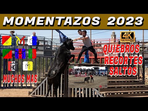 🔝🔝 MOMENTAZOS TOP 2023