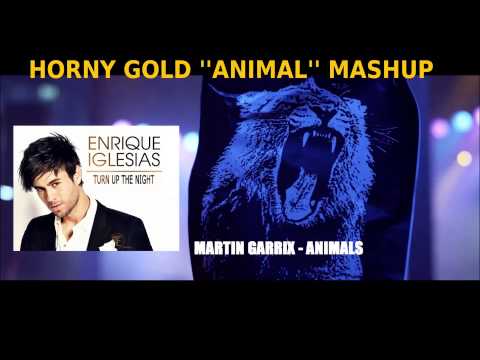 Martin Garrix vs Enrique Iglesias - Turn the night up (Horny Gold ''Animal'' Mashup)
