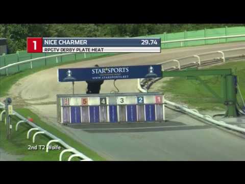 2019 RPGTV DERBY PLATE - HEAT 3 - T1 NICE CHARMER