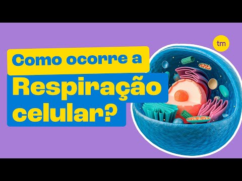 CELLULAR BREATHING - The Energy of Cells