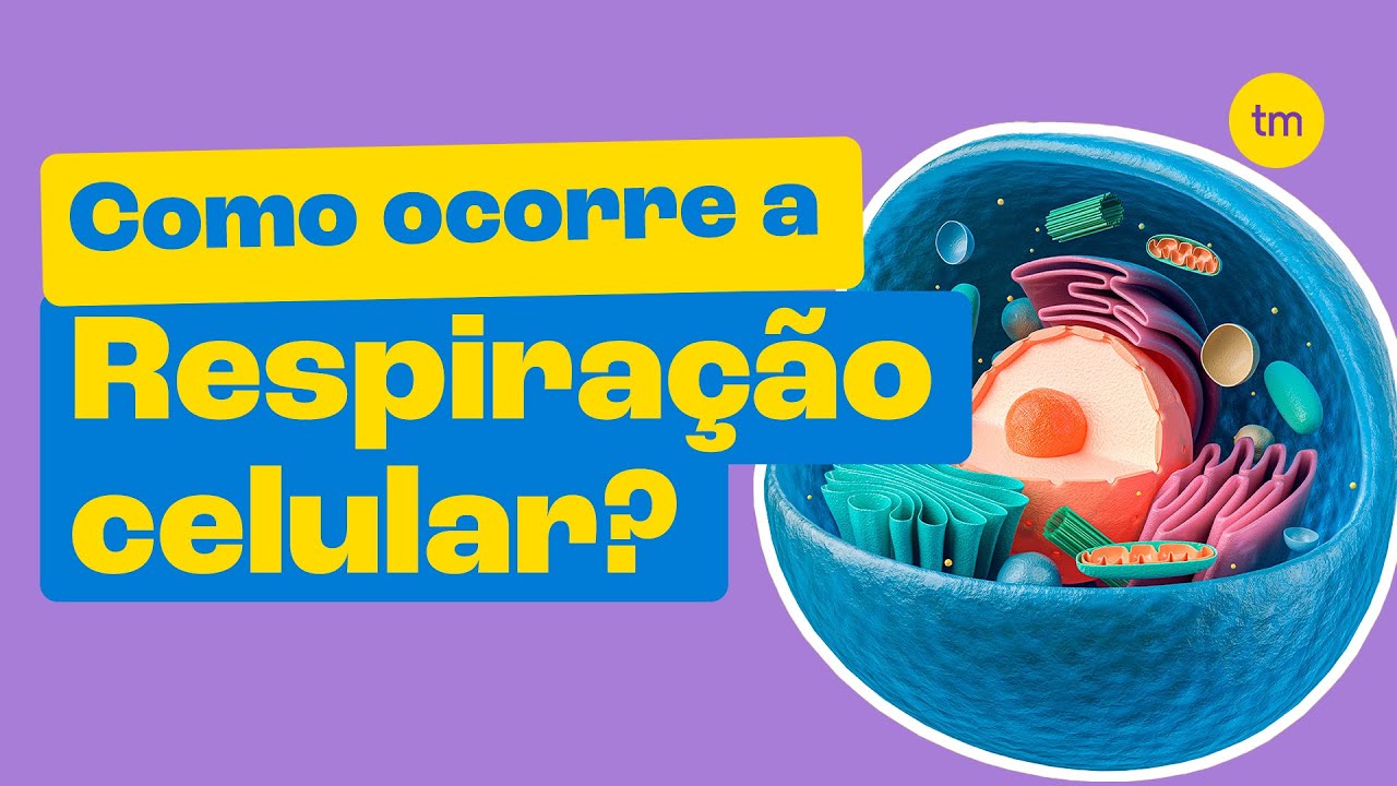RESPIRAÇÃO CELULAR - A Energia das Células