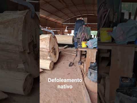 Rondon do Pará: Laminados para compensados