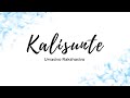 Kalisunte Lyric Urvasivo Rakshasivo Allu Sirish Arman Malik Achu Rajamani B 14 Music