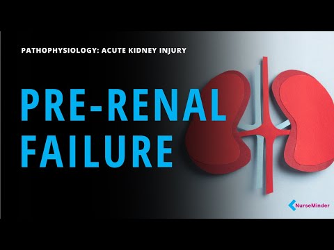 What happens in Pre Renal Failure? Stage and Treatment You Must Know