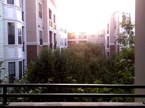 Courtyard - Austin, Texas