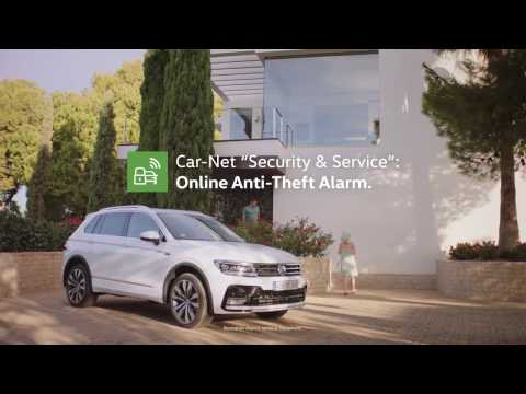 image-What is VW theft protection?