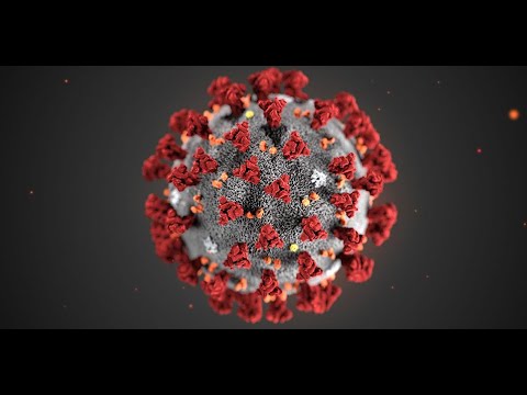 9 marzo 2020 - 9 marzo 2021: un anno di Covid