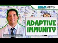 Immunology | Adaptive Immunity